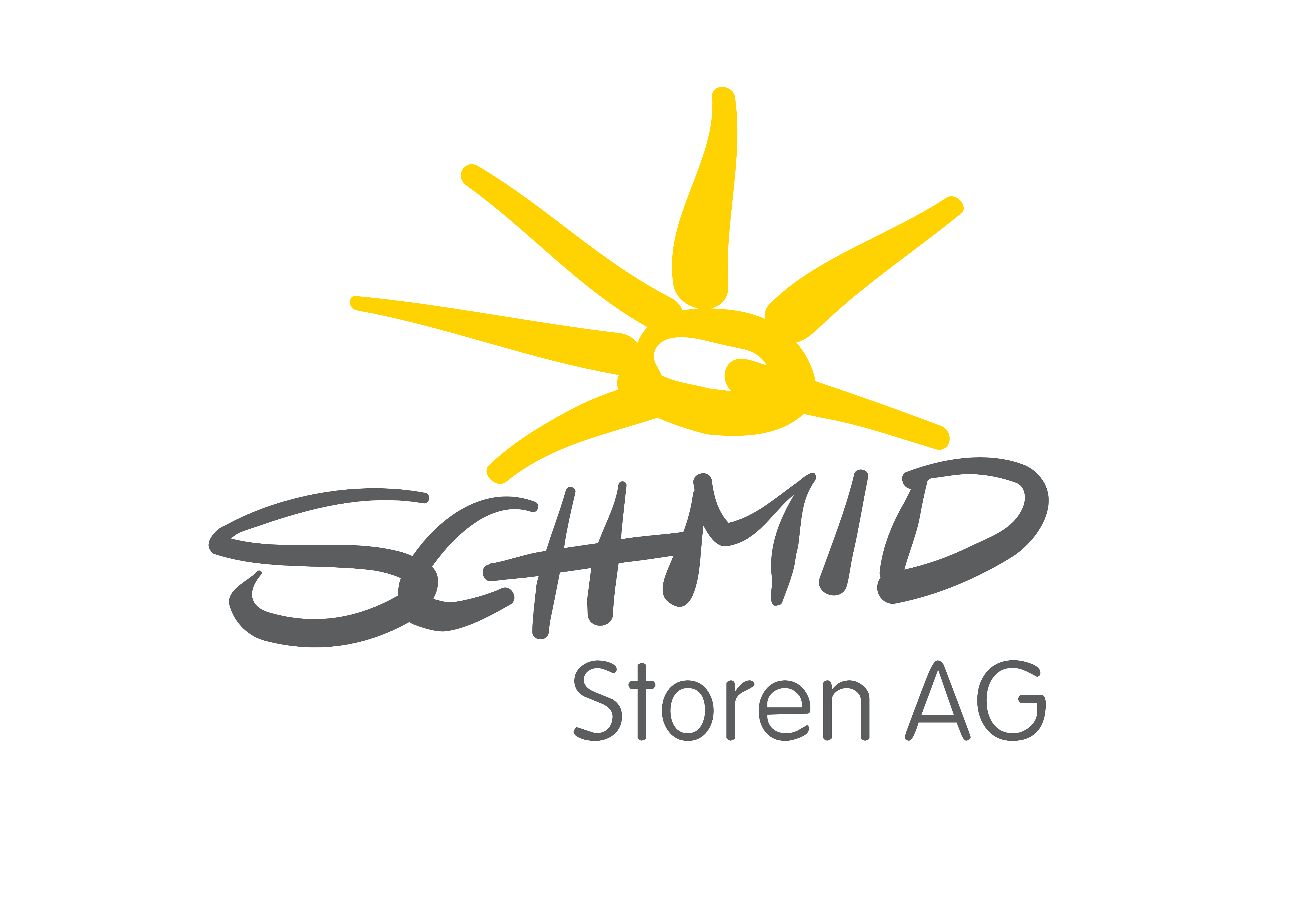Schmid Storen AG Logo